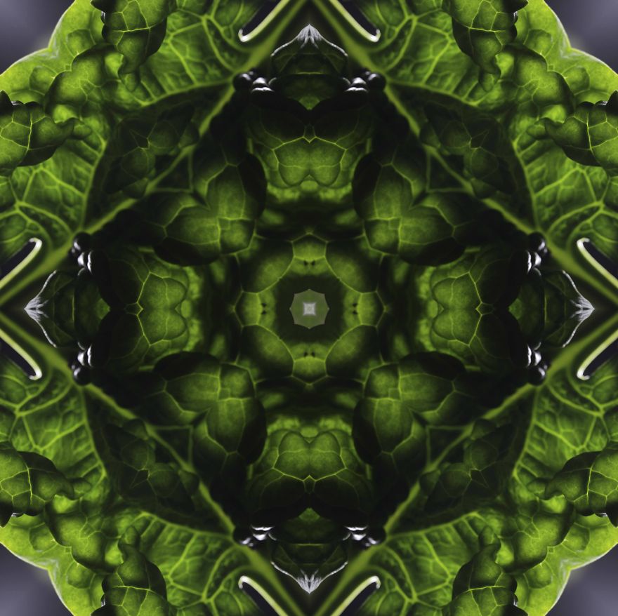 I Make Mandalas From Vegetables