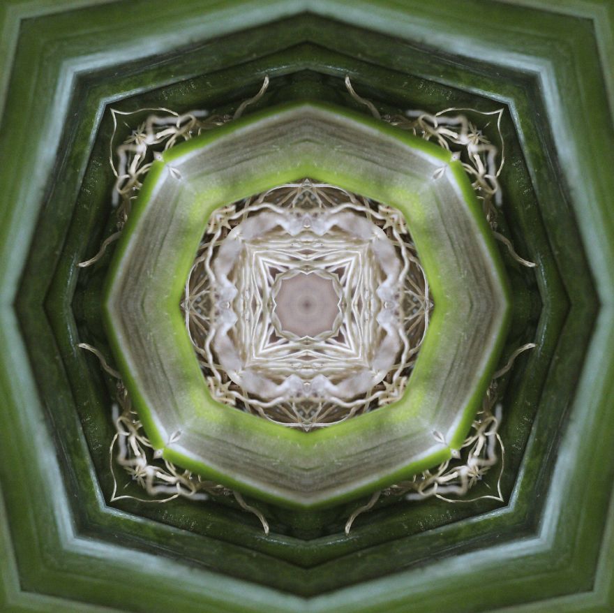 I Make Mandalas From Vegetables