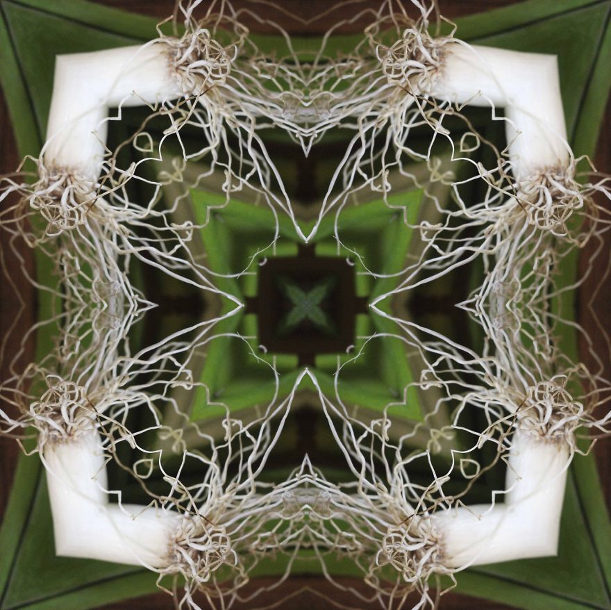 I Make Mandalas From Vegetables