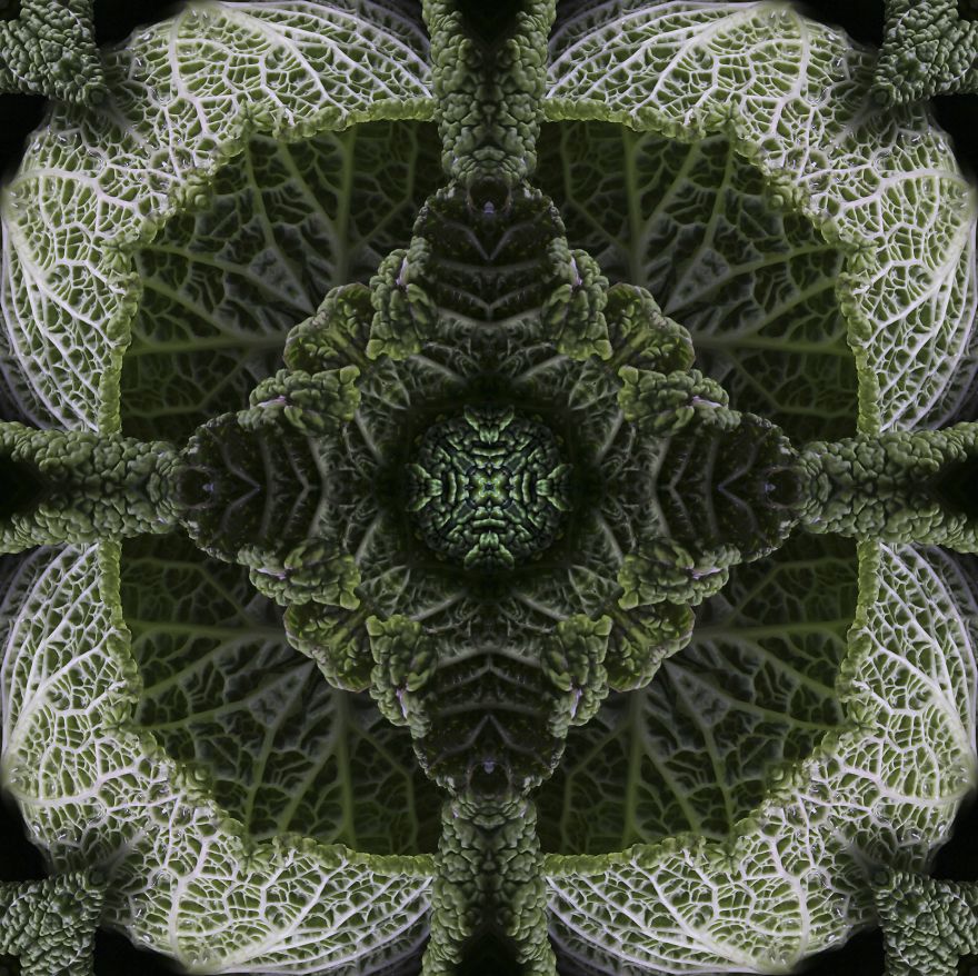 I Make Mandalas From Vegetables