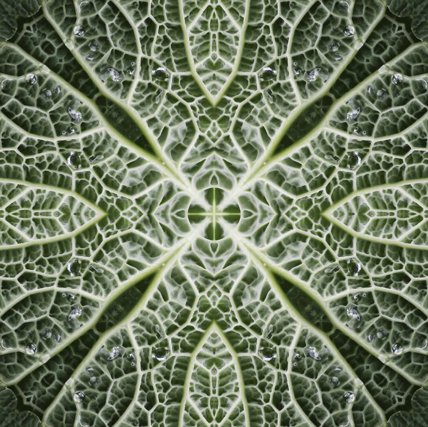 I Make Mandalas From Vegetables