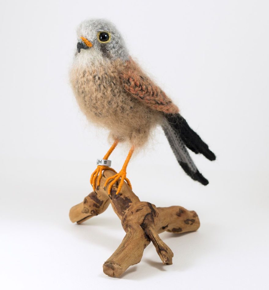 I Make Realistic Crocheted Birds Out Of Wool