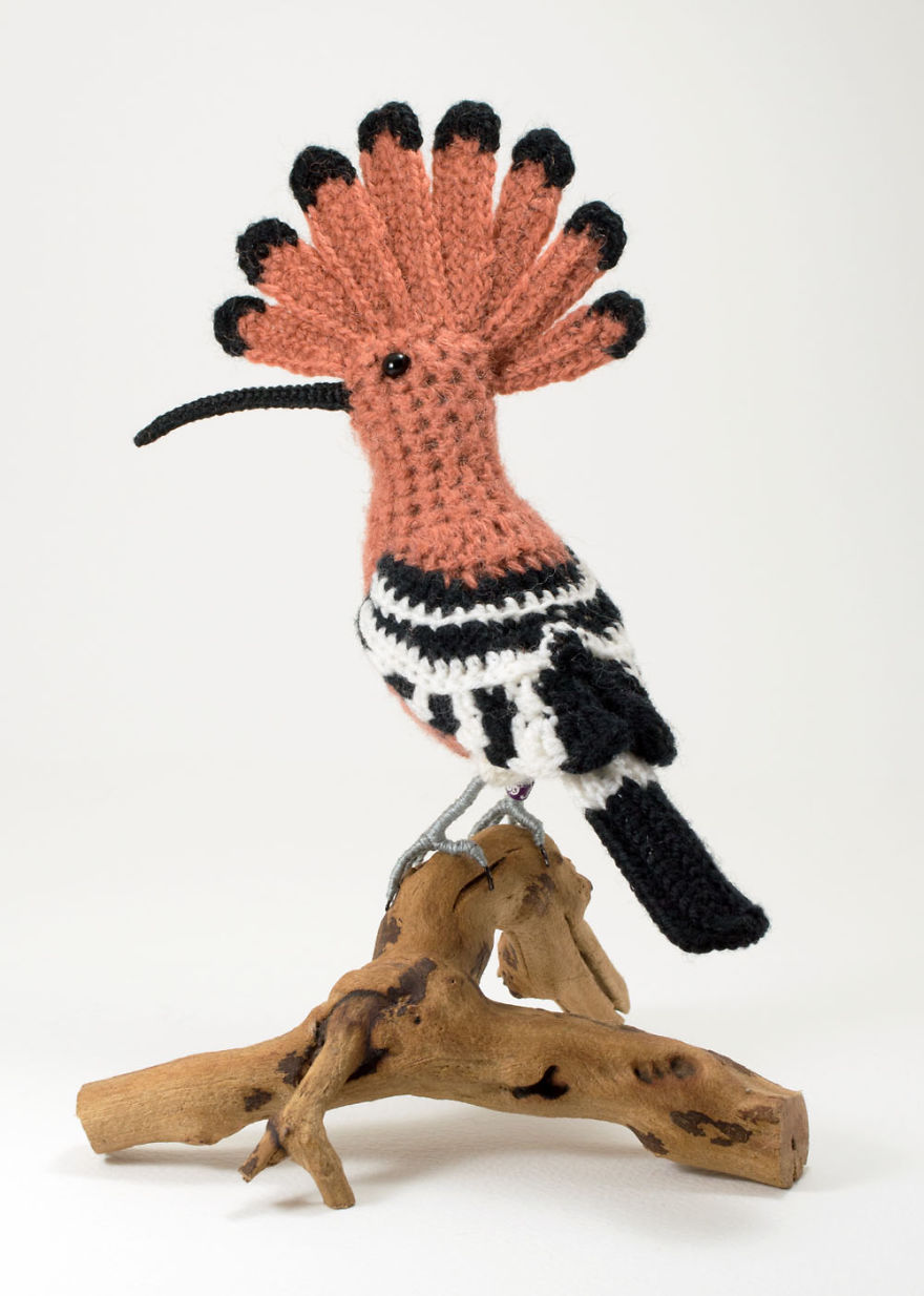 I Make Realistic Crocheted Birds Out Of Wool