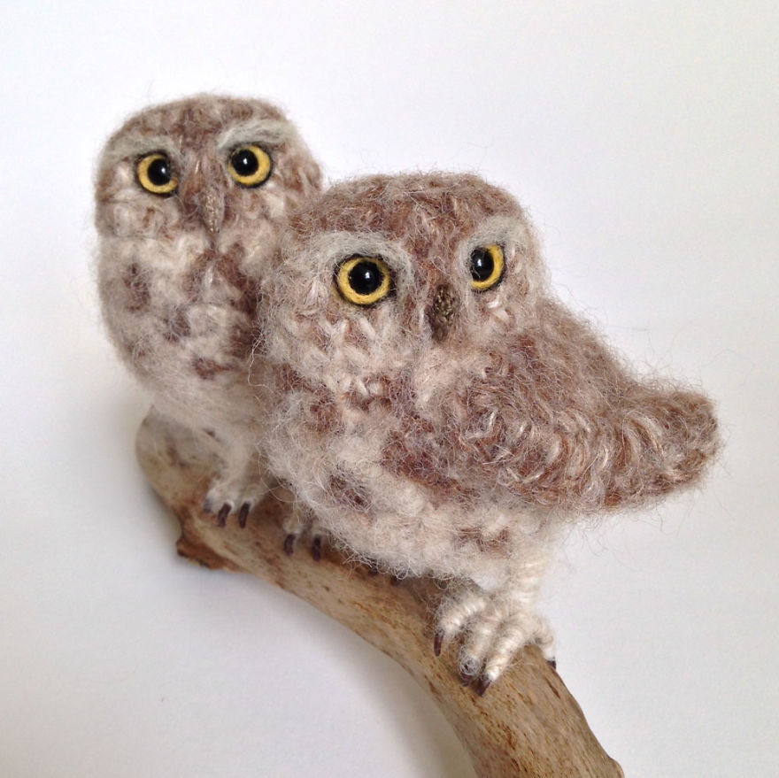 I Make Realistic Crocheted Birds Out Of Wool