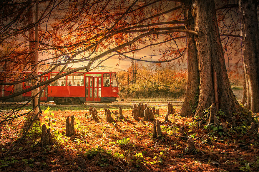 I Photograph The Beauty Of Belgrade I Photograph The Beauty Of Belgrade