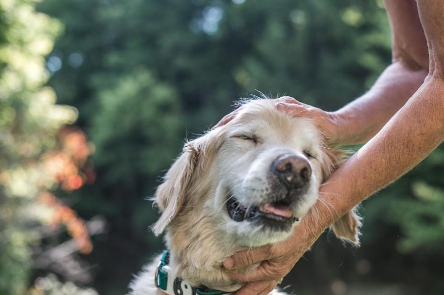 I Photograph The Special Bond Between Old Dogs And The People Who Love Them