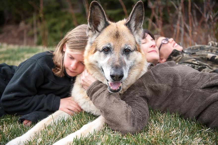 I Photograph The Special Bond Between Old Dogs And The People Who Love Them