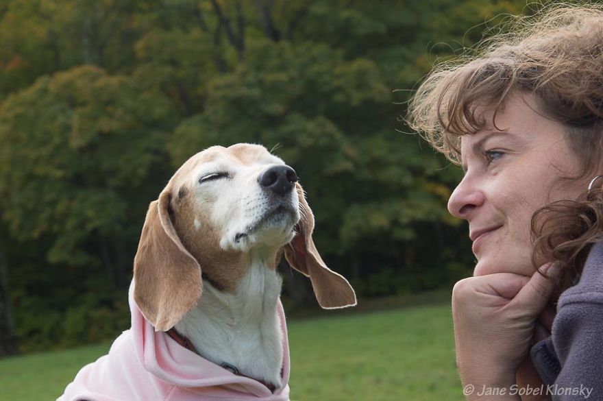 I Photograph The Special Bond Between Old Dogs And The People Who Love Them