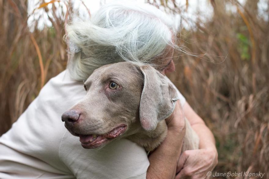 I Photograph The Special Bond Between Old Dogs And The People Who Love Them I Photograph The Special Bond Between Old Dogs And The People Who Love Them