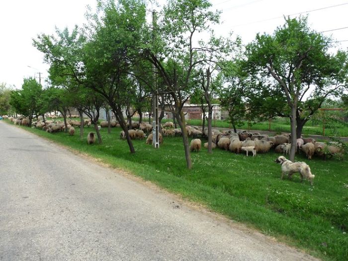 I Photographed Romanian Villages That Look Like Frozen In Time