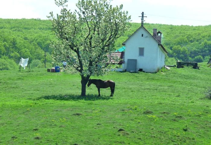 I Photographed Romanian Villages That Look Like Frozen In Time