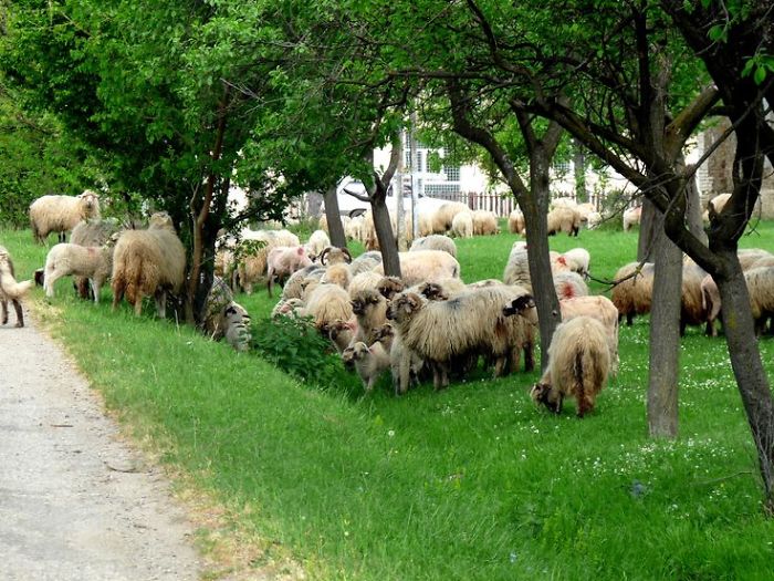 I Photographed Romanian Villages That Look Like Frozen In Time