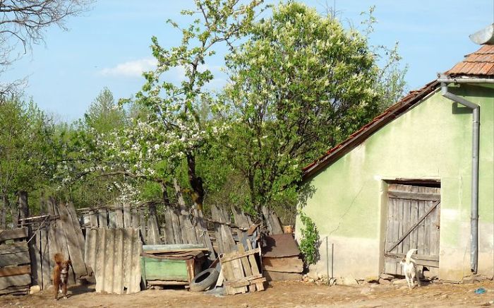 I Photographed Romanian Villages That Look Like Frozen In Time