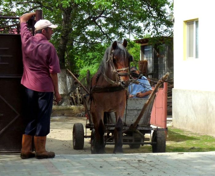 I Photographed Romanian Villages That Look Like Frozen In Time