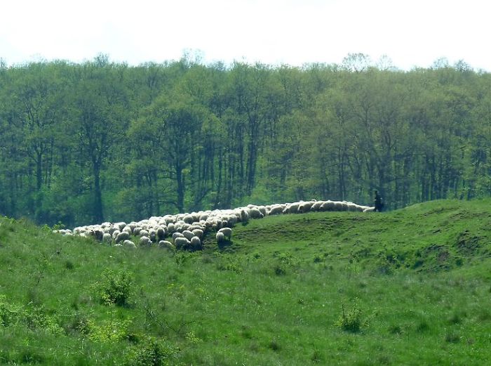 I Photographed Romanian Villages That Look Like Frozen In Time
