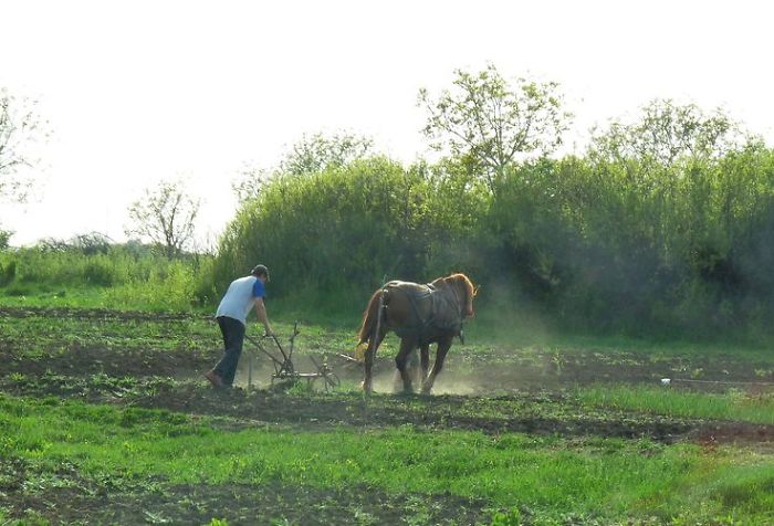 I Photographed Romanian Villages That Look Like Frozen In Time