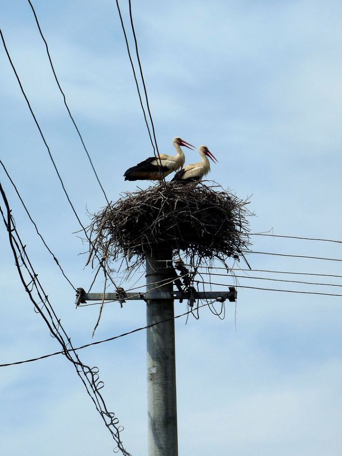 I Photographed Romanian Villages That Look Like Frozen In Time