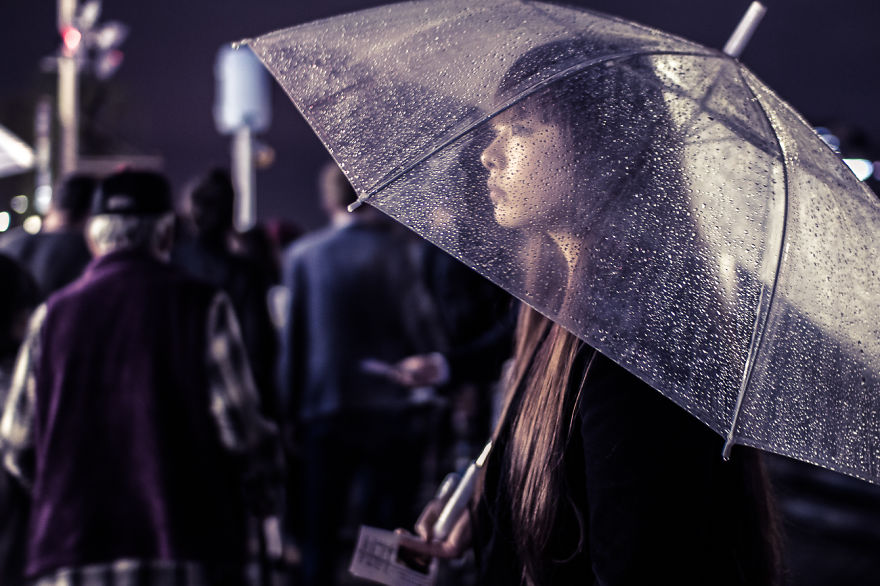 I Traveled To Japan And Photographed The Cherry Blossoms I Traveled To Japan And Photographed The Cherry Blossoms