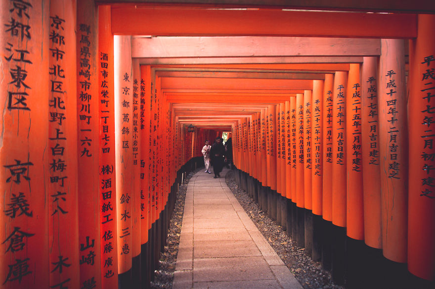 I Traveled To Japan And Photographed The Cherry Blossoms I Traveled To Japan And Photographed The Cherry Blossoms