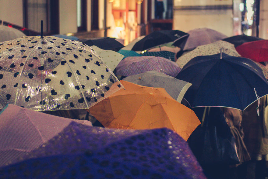 I Traveled To Japan And Photographed The Cherry Blossoms I Traveled To Japan And Photographed The Cherry Blossoms