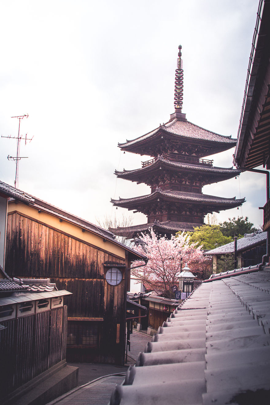 I Traveled To Japan And Photographed The Cherry Blossoms