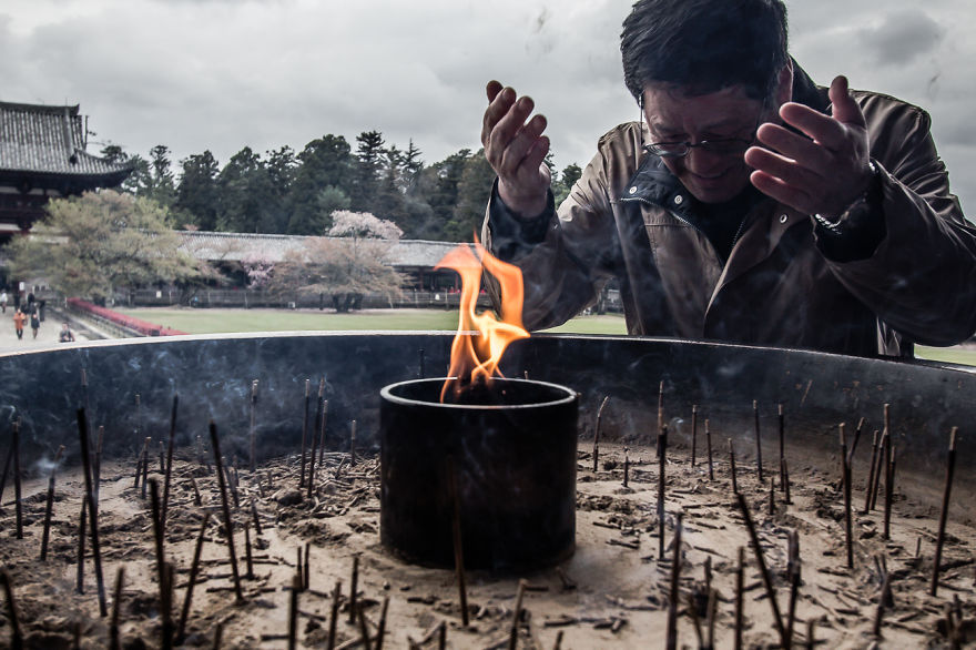 I Traveled To Japan And Photographed The Cherry Blossoms I Traveled To Japan And Photographed The Cherry Blossoms