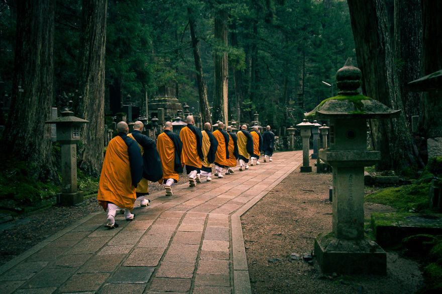 I Traveled To Japan And Photographed The Cherry Blossoms I Traveled To Japan And Photographed The Cherry Blossoms