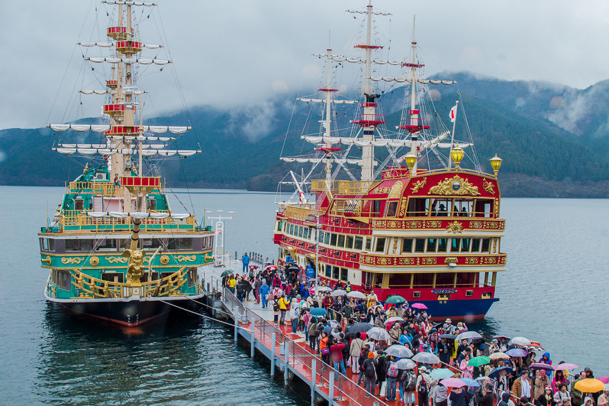 I Traveled To Japan And Photographed The Cherry Blossoms I Traveled To Japan And Photographed The Cherry Blossoms