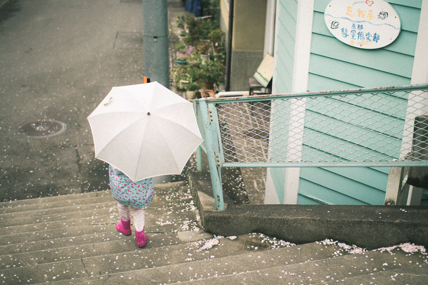 I Traveled To Japan And Photographed The Cherry Blossoms I Traveled To Japan And Photographed The Cherry Blossoms