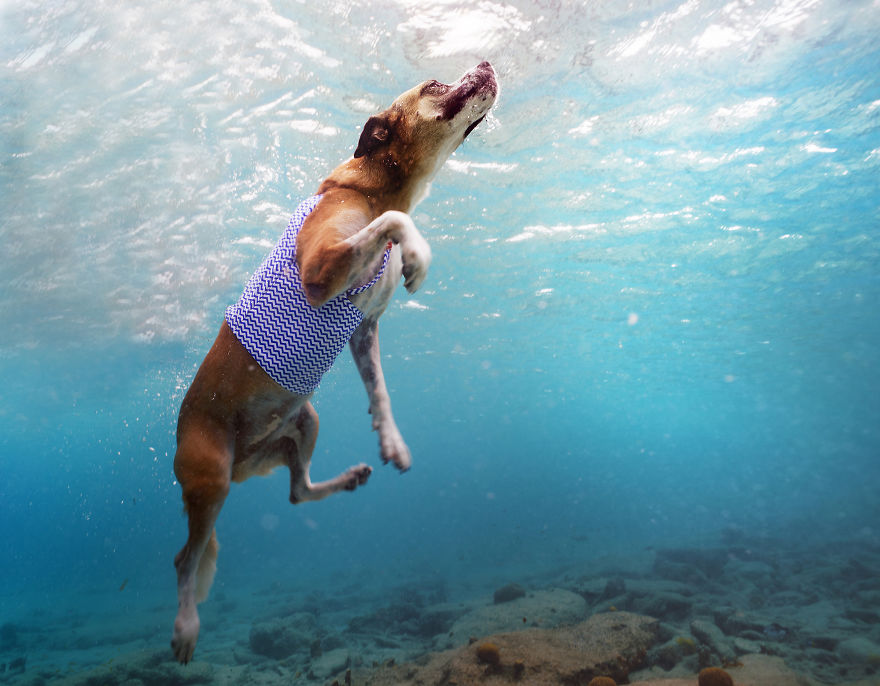I Travelled To Bonaire Island And Photographed Local Children Underwater