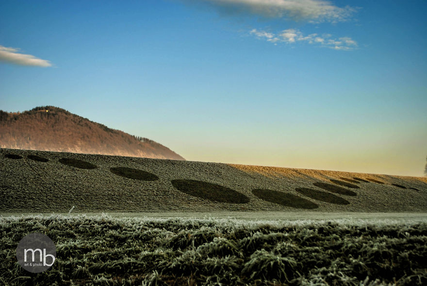 I Wake Up Early In The Morning To Create Frost Art