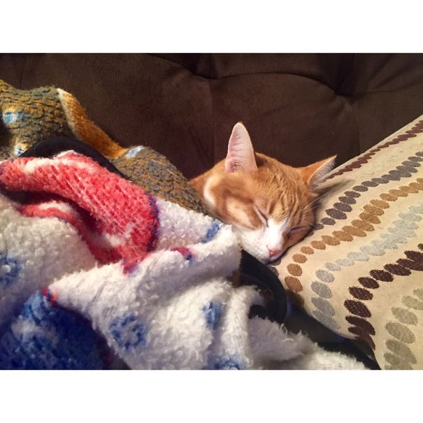 She Thinks She's Human.