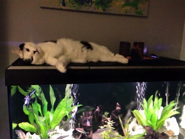 His Favourite Hot Spot