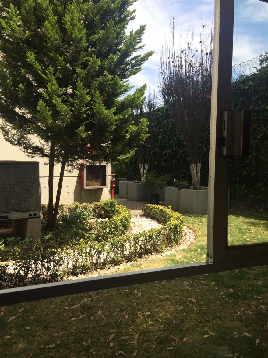 Electoral Court At Mexico City