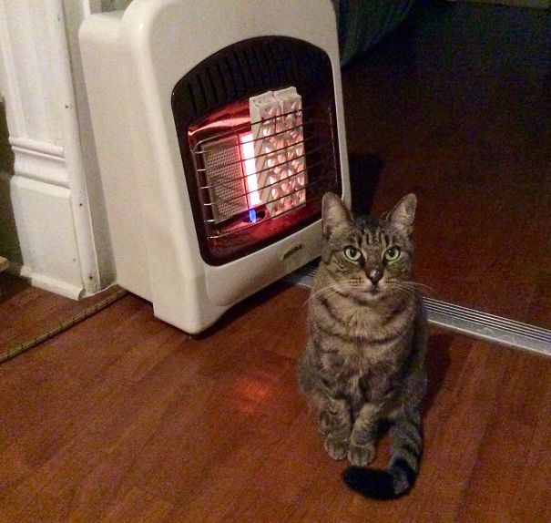 Getting Warm After A Walk Outside.