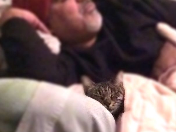 Sweet Dreams My Kitty!