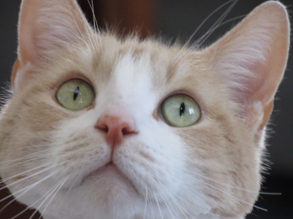 Looking Into The Beautiful Light...