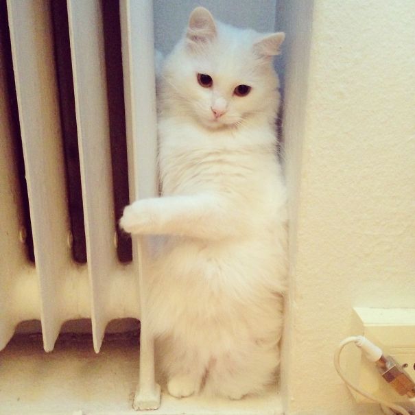 Welcome To Finland! (funland)