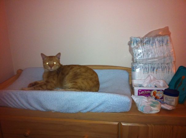 Jealous Of The New Baby