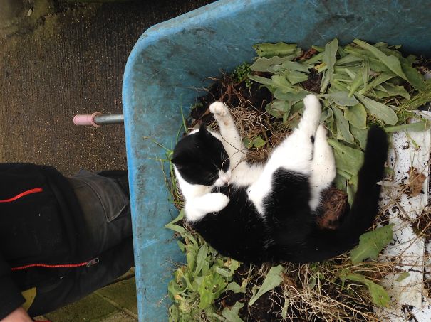 Better Than A Code Bed !