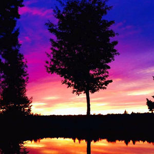 hollygardiner avatar