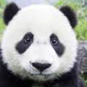 hollyotoole05 avatar