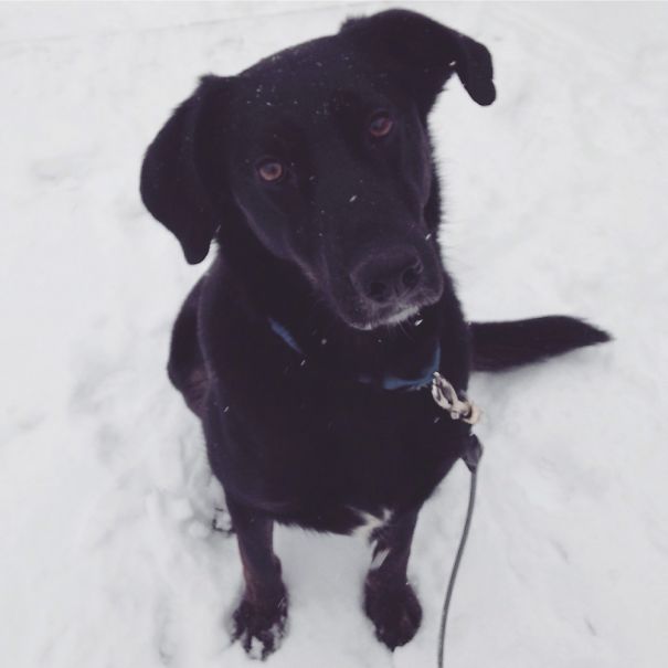 Jäger Meister, Big Puppy(: