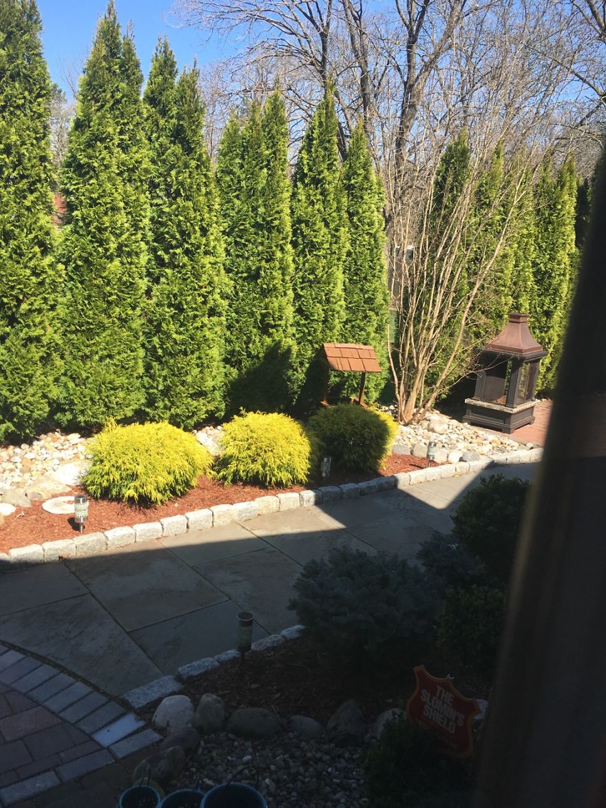 Our Beautiful Scenery