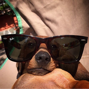 anastasiamolodtsova avatar