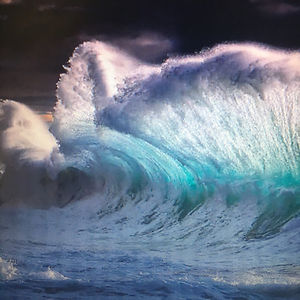 sammynightgrr avatar