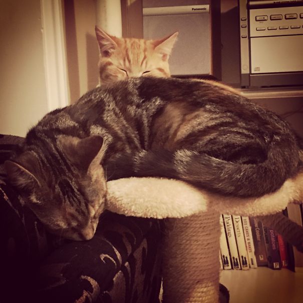 Still Trying To Fit!