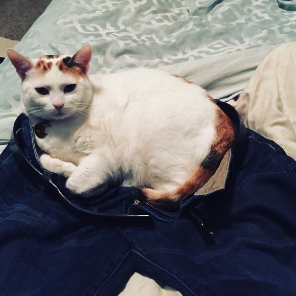 Guess We Know Who Wears The Pants In This Family...