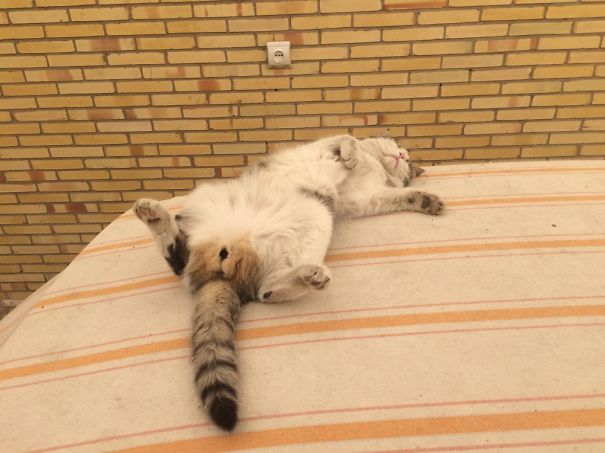 Babri're Dreaming :)