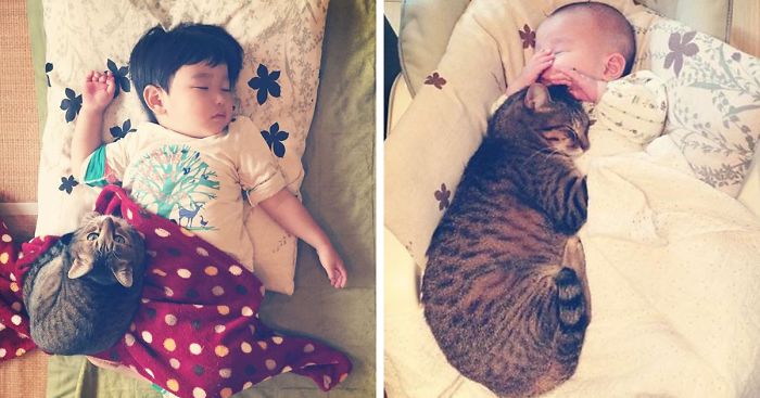 This Japanese Cat Is The Best Sleeping Buddy For His Baby Hoomins